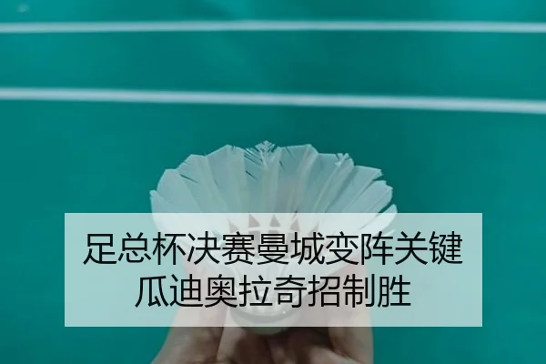 zu-zong-bei-jue-sai-man-cheng-bian-zhen-guan-jian-gua-di-ao-la-qi-zhao-zhi-sheng-2-705.jpg