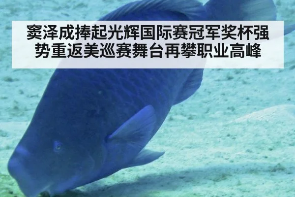 窦泽成捧起光辉国际赛冠军奖杯强势重返美巡赛舞台再攀职业高峰